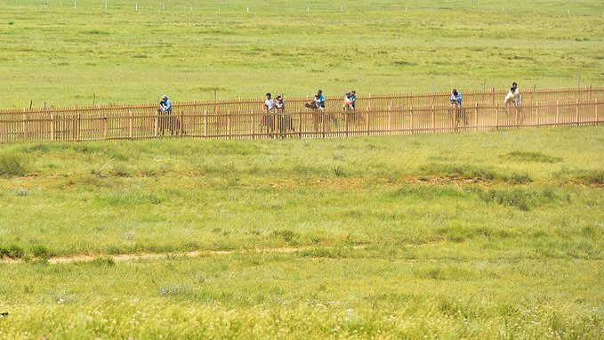 分享I鄂尔多斯少年那达慕，意义非凡的一场研学之旅