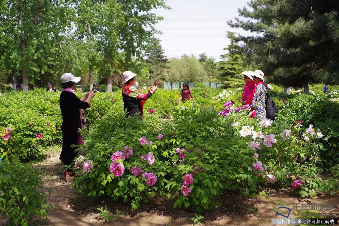 京城十六城,北京旅游攻略拍照景点