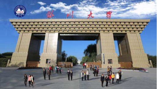 宝塔集团战略重组,宝塔石化集团新消息