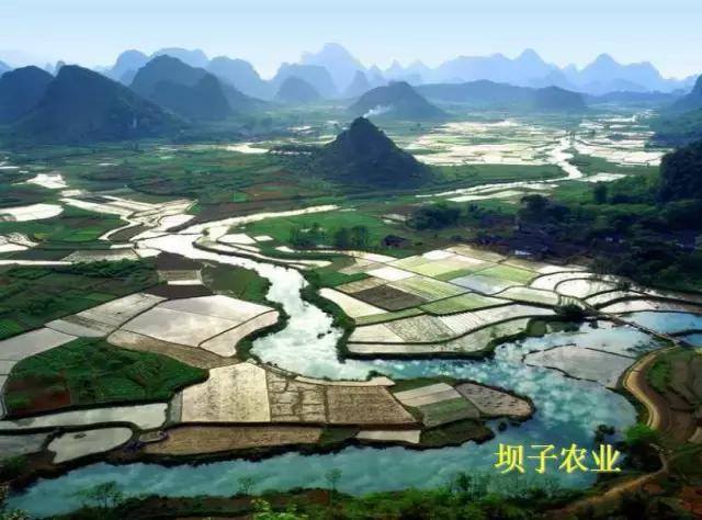 常见农作物种植常识,全国各省种植最广的农作物分布图