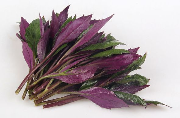 一盘“秋葵”下肚，济南一男子失去意识！菜市场里的这些“毒菜”看清楚了，千万别买错了！