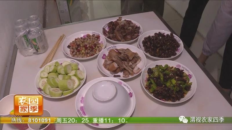 夏日纳凉好不惬意,夏日纳凉