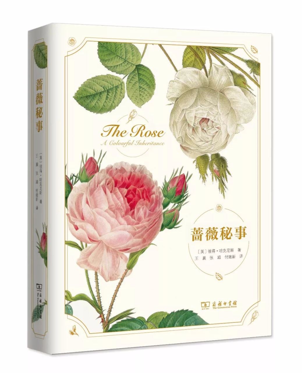 荐书｜七夕将至，现代版“玫瑰圣经”带给你一整本永不凋谢的浪漫！