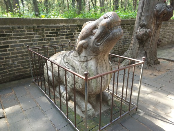 曲阜三孔一日游票价,曲阜三孔一日游