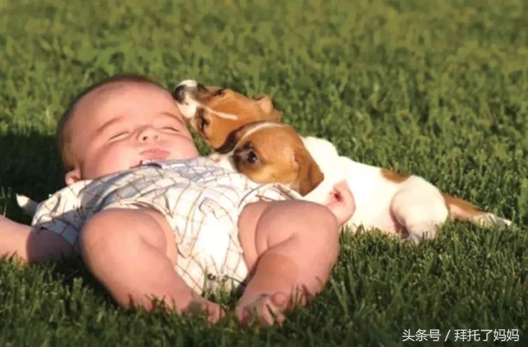 宝宝六个月有虫子了怎么办,八个月宝宝眼睛取出虫子