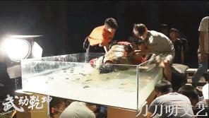 杨洋演的武动乾坤好看吗,武动乾坤杨洋版怎么样