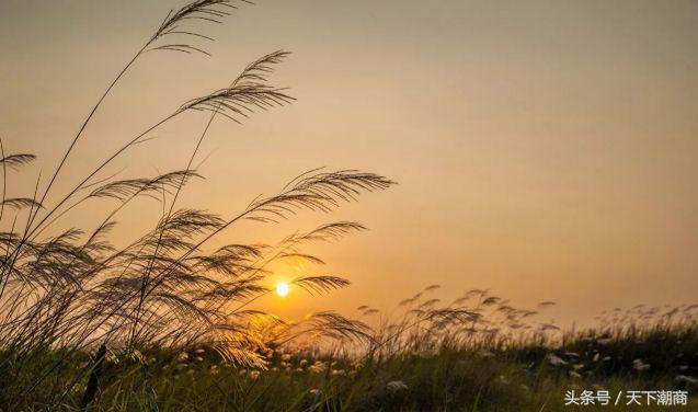 明园集团李松坚,明园集团李松坚身价