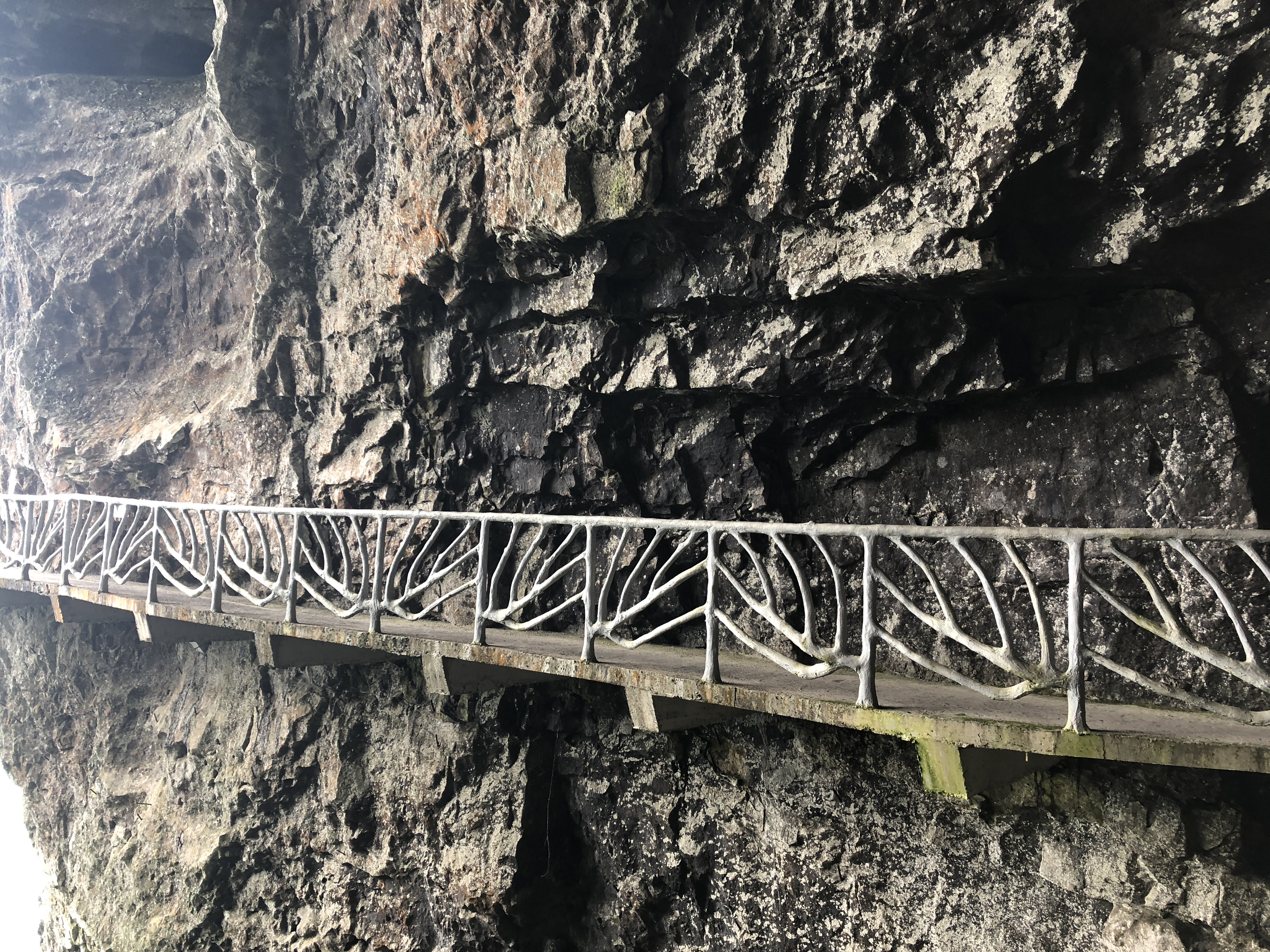 金佛山西坡两日游攻略,金佛山夏季两日游