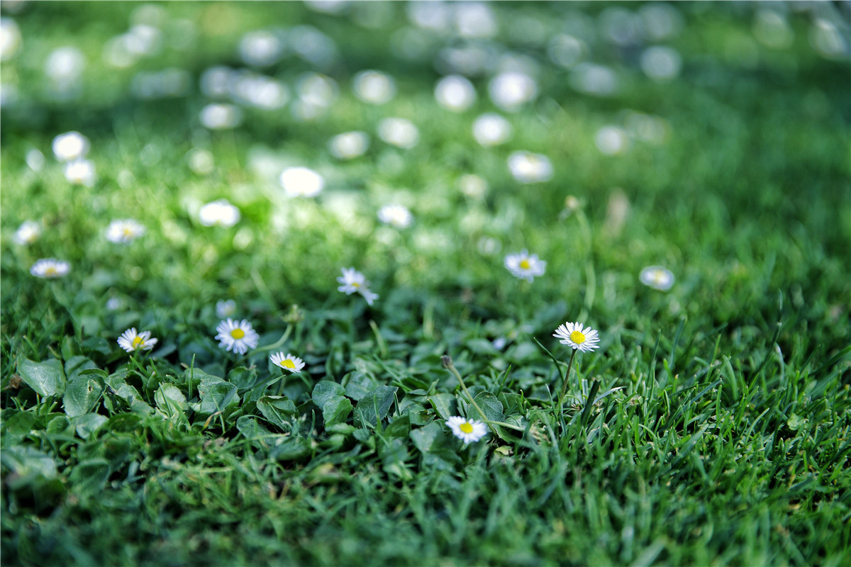 新手入手佳能全画幅6d2,eos6d全画幅