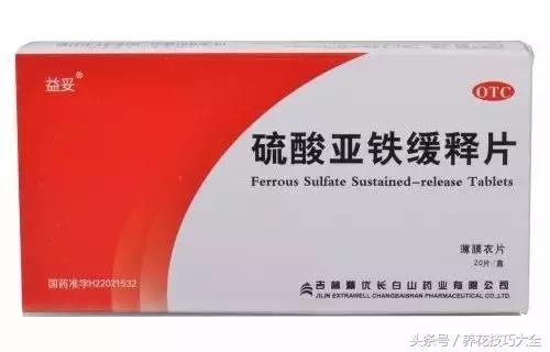 过期药品养花妙用,这些过期药品别扔拿来养花是神器