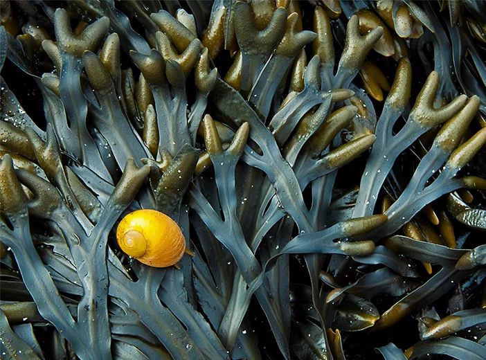 超级滋润的身体乳测评,又嫩又滑的身体乳测评