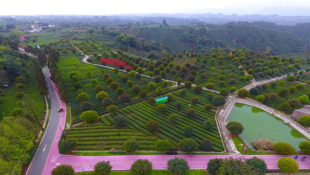 如何用党建引领带动富民兴村,村党建引领促增收