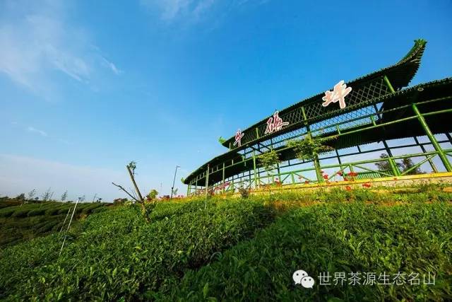 如何用党建引领带动富民兴村,村党建引领促增收