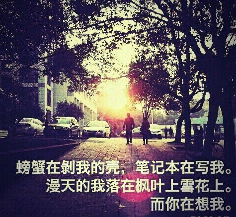 七夕大放送,七夕大放送完整版