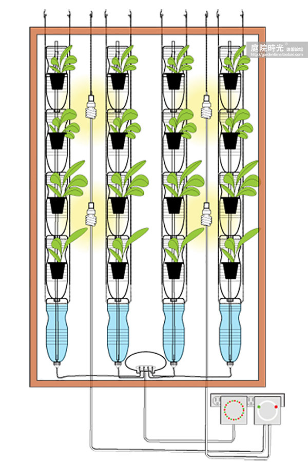 变废为宝自制栽培绿植器皿,塑料瓶创意绿植盆栽旧物利用