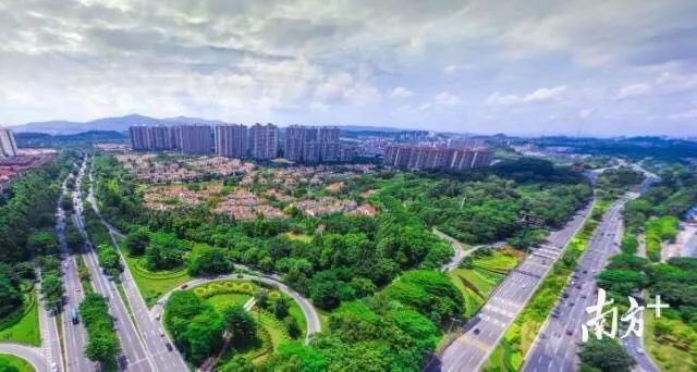 东莞莞港创新创业项目,莞港合作