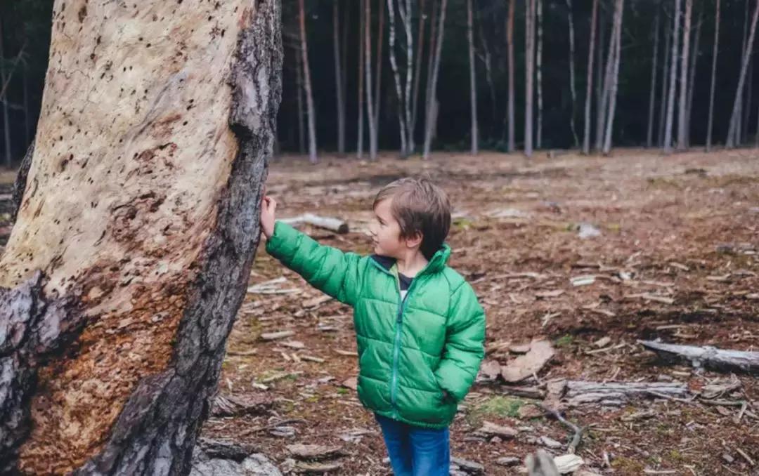 批评孩子一定要避开这7种时刻,孩子犯错不用批评只需讲这8句话