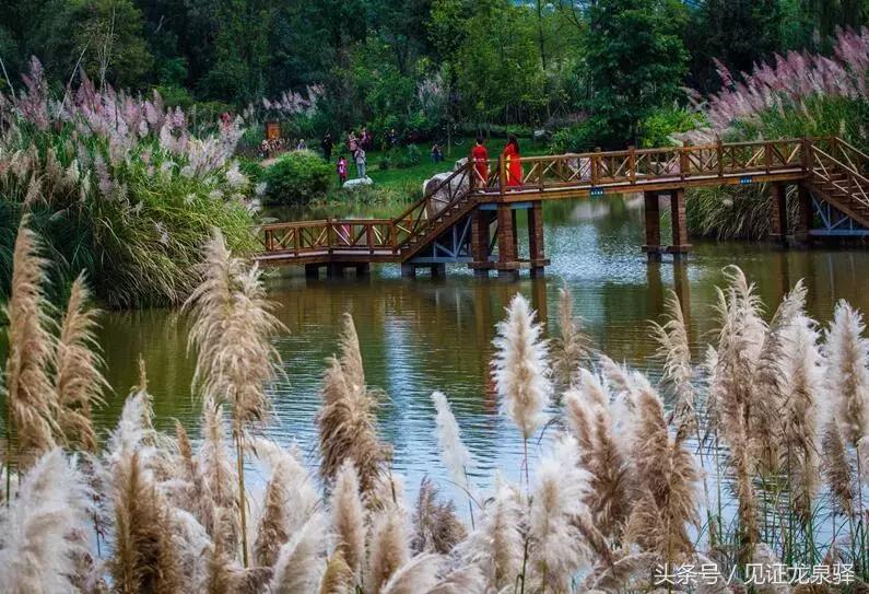 成都龙泉驿有什么好看的地方,成都市最美街道排名