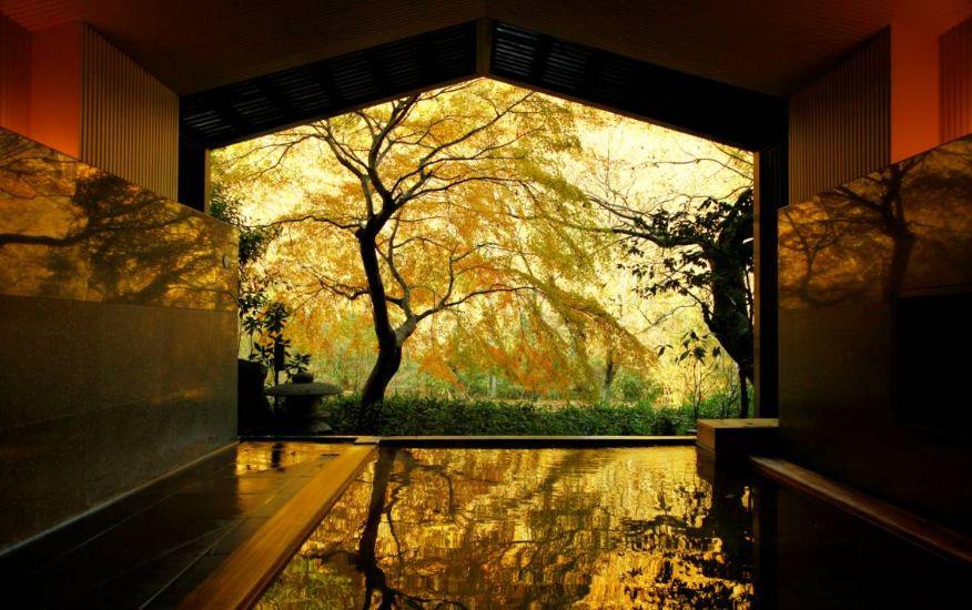 星野集团,杭州市星野集团