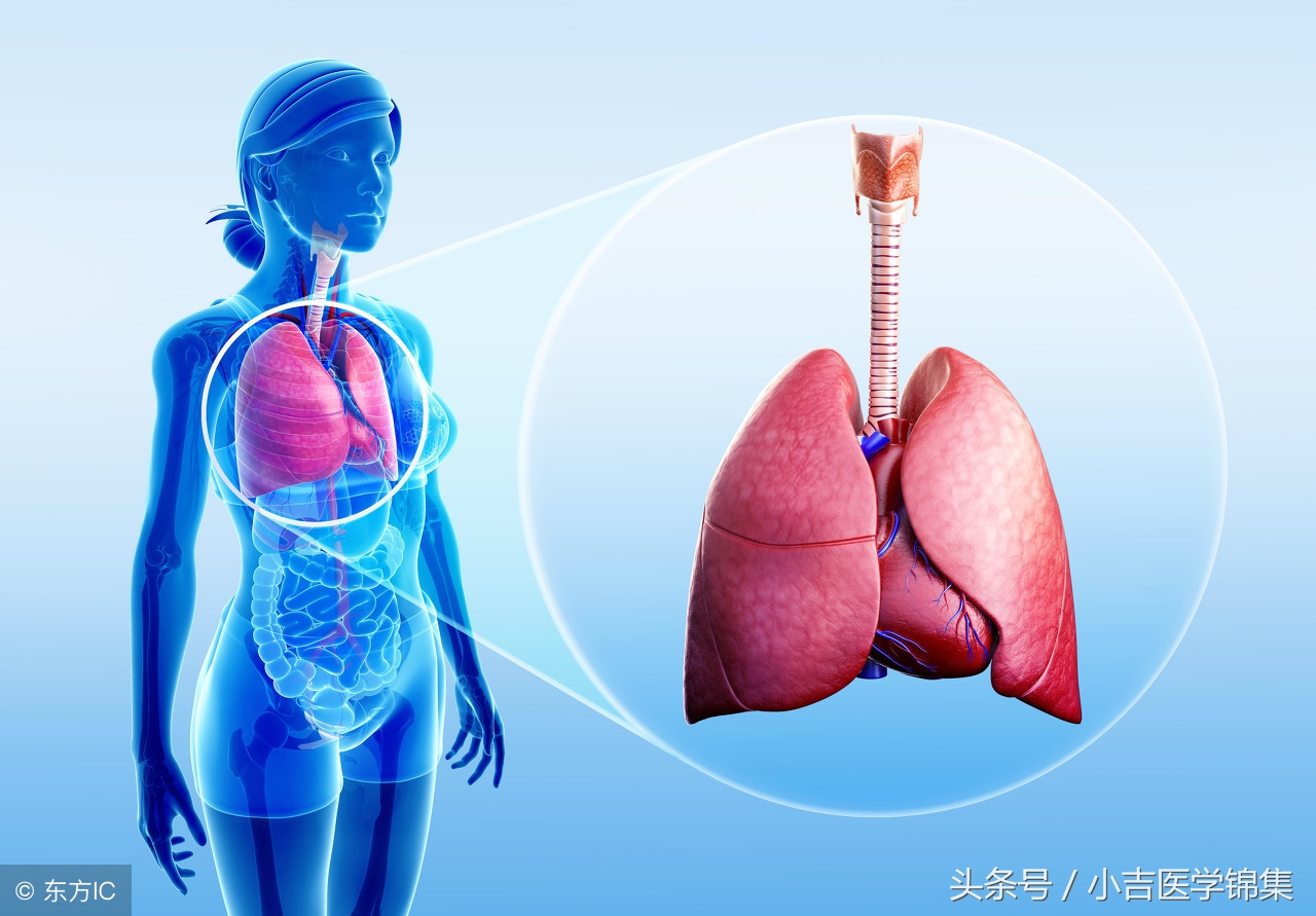 支气管扩张能治断根吗,支气管扩张剂