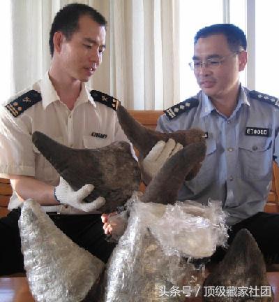 犀牛角的特征和图片,犀牛角的种类图片大全