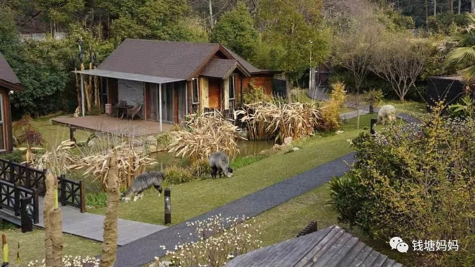 杭州有哪些亲子度假酒店推荐,杭州适合带孩子住的亲子主题酒店