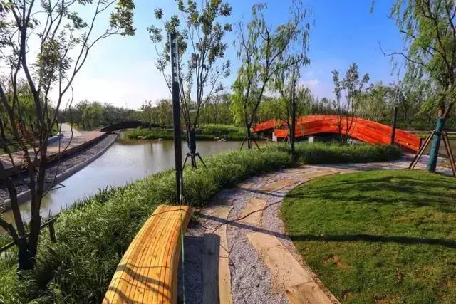 上海这三座公园将向市民免费开放,上海公共景观