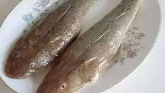 海南的鱼类大全,海南鱼类大全图片