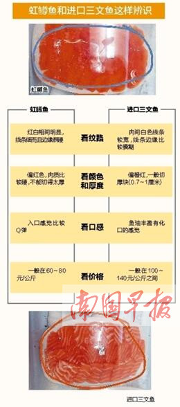 虹鳟鱼列入三文鱼怎么看,淡水三文鱼和虹鳟鱼区别