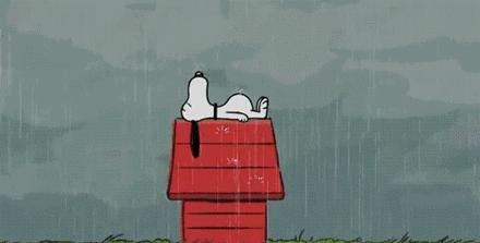 上海民办沪东外国语小学好吗,上海民办沪东外国语小学怎么样