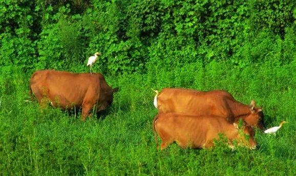 柚子说：松鼠我都没看见，熊猫也没有看见
