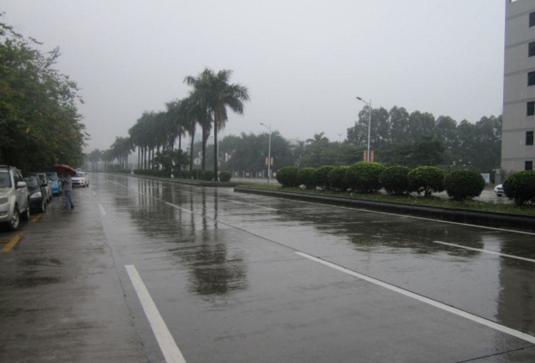 又双叒叕上新了,肇庆法拍房最新消息