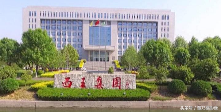 西王集团山东男篮,山东西王集团山东男篮