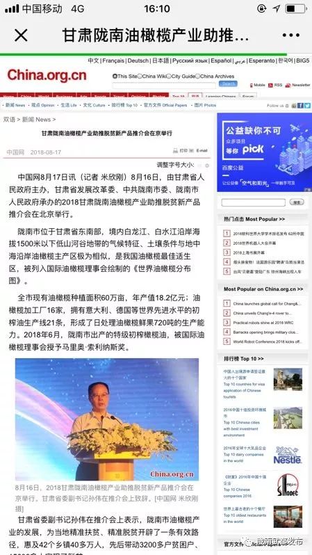 陇南武都橄榄产业发展,陇南油橄榄产业