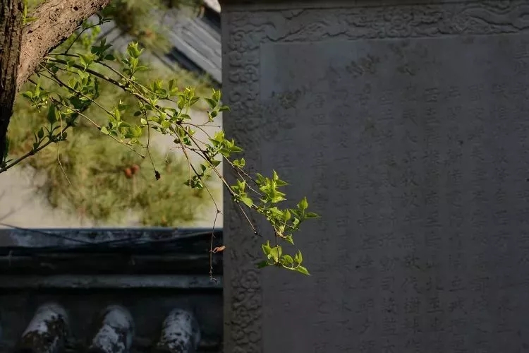 淮南经典名言名句,淮南出自哪一句诗