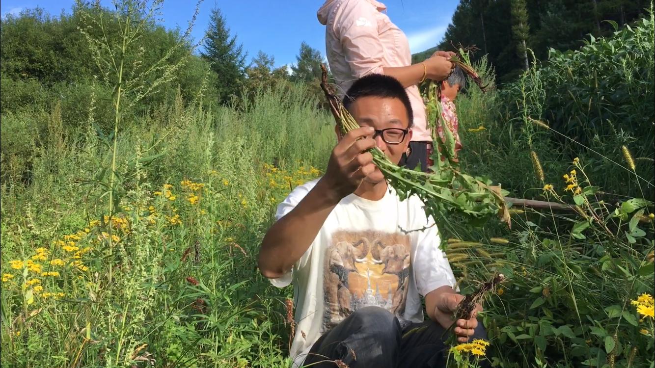 婆婆丁和什么配最好吃,婆婆丁蘸酱真的好吃吗