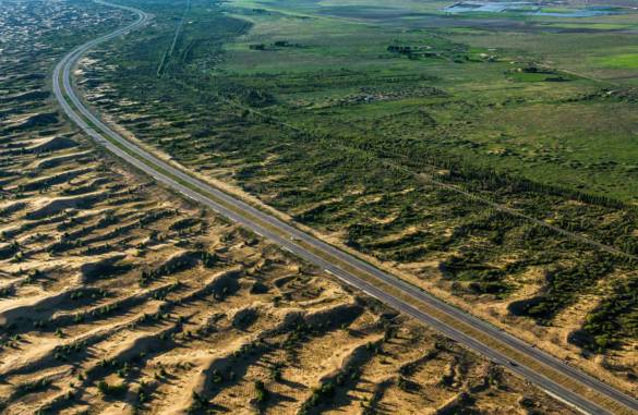 曝光6个适合农村人致富项目,农村特种种植致富项目有哪些