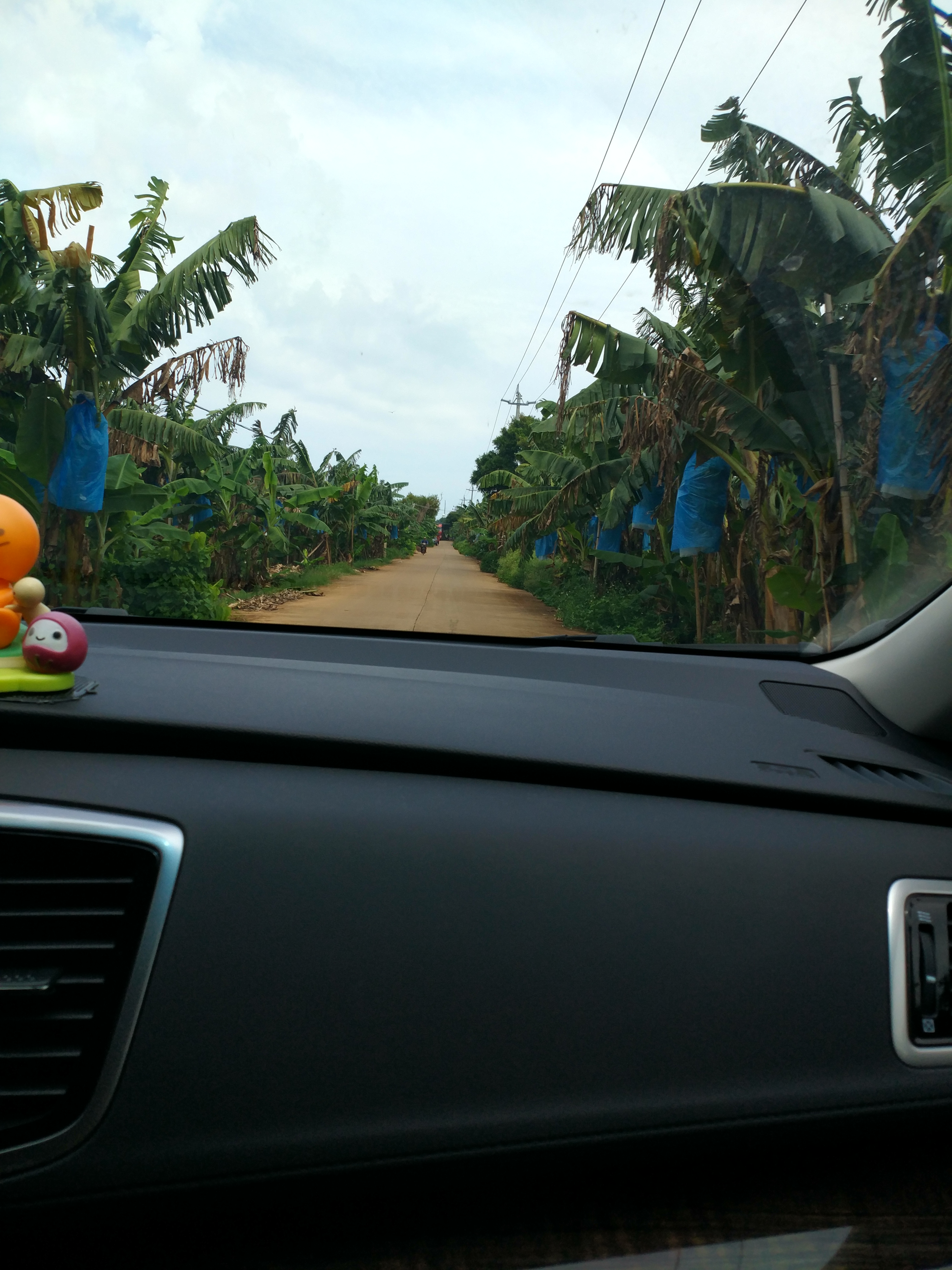湛江轮渡旅游,湛江金沙湾5元轮渡