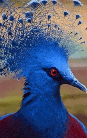 会动的漂亮图片,会动的图片十张