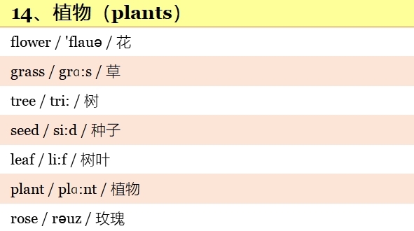 小学英语高频词汇表带音标,小学英语1-6年级必背单词带音标
