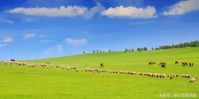 一座去了不想走的城市成都,一座去了还想去的城