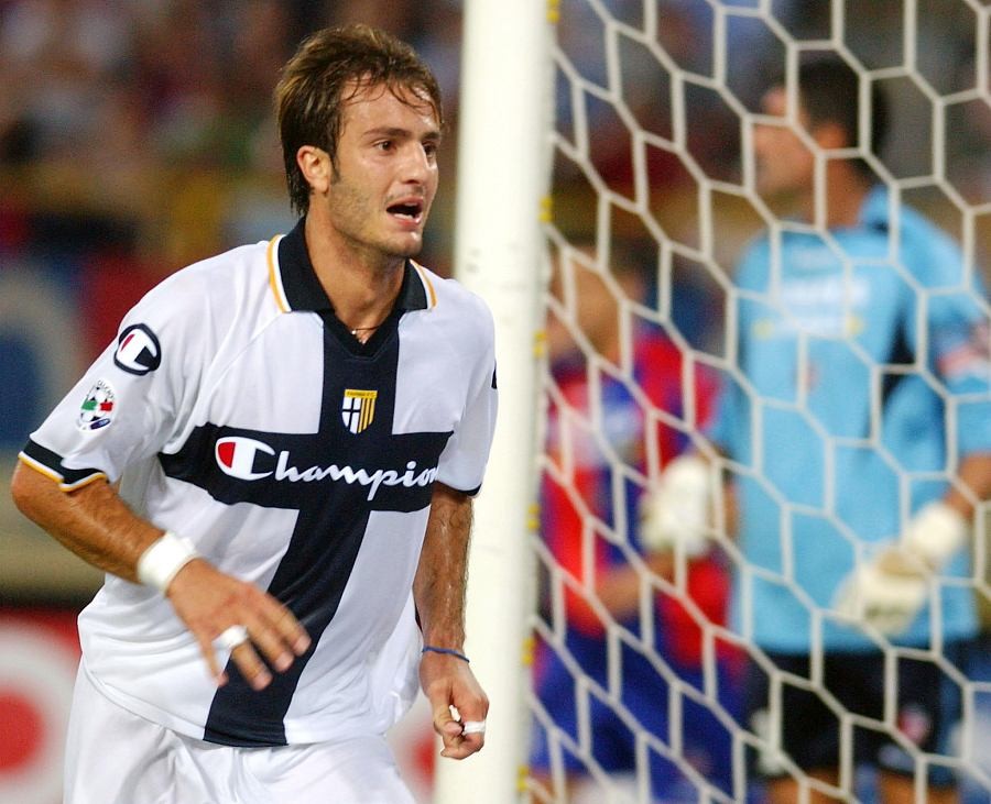 浴火重生之火凤凰,浴火重生