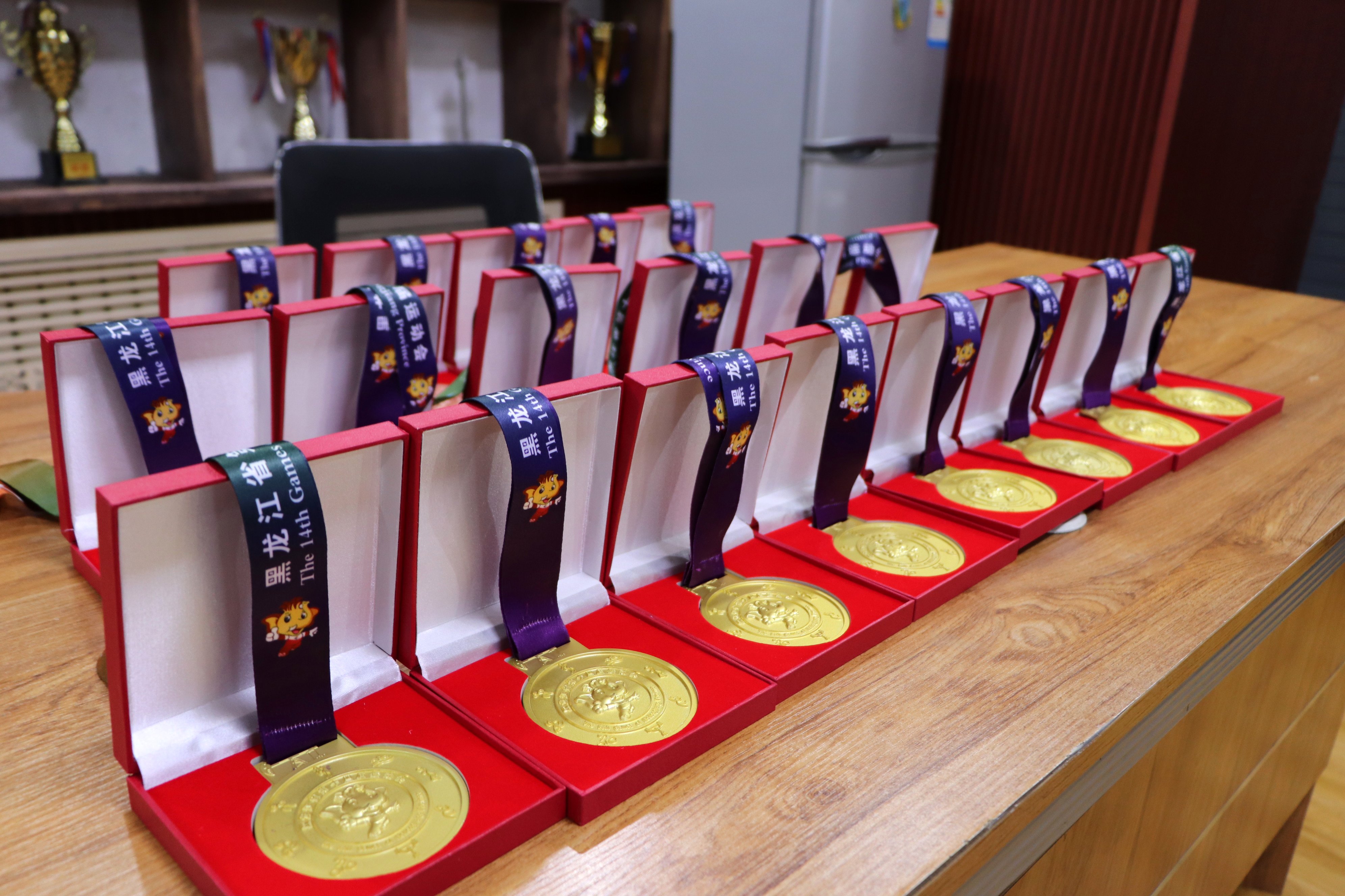 江西省第十六届运动会高校散打组,江西省第16届省运会武术散打高校