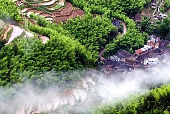 丽水遂昌市区,在丽水的遂昌