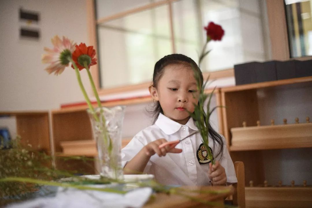 玉林最近最火的幼儿园,广西玉林中心幼儿园