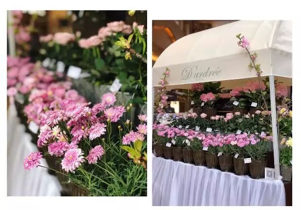 找一个关于roseonly花店的视频,roseonly花店的风格