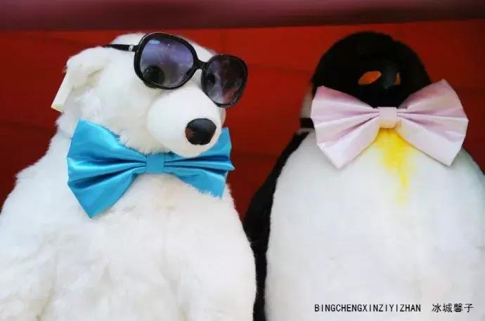 哈尔滨极地公园极地馆时间,哈尔滨极地公园和极地馆区别