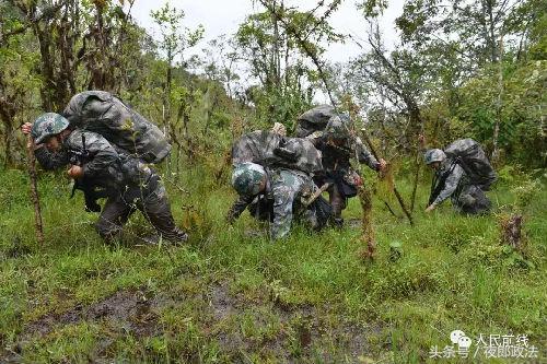 西藏军人偷偷回家感人视频,西藏老兵退伍催泪视频