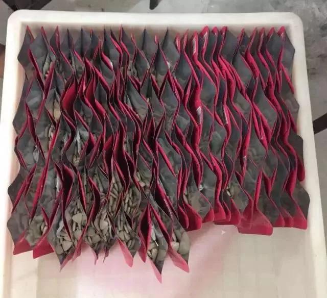 被网红毁掉的中国景点,被网红毁掉的普通人