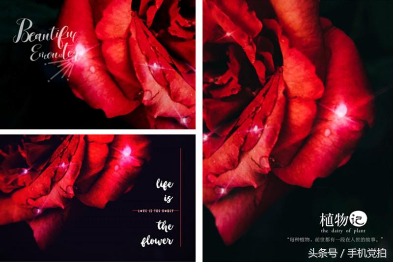 给图片上加印章,给图片加个好看文字